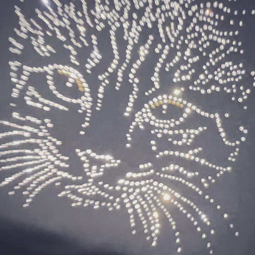 Women's CAT Short Sleeve t-shirt Black with Crystal Rhinestones